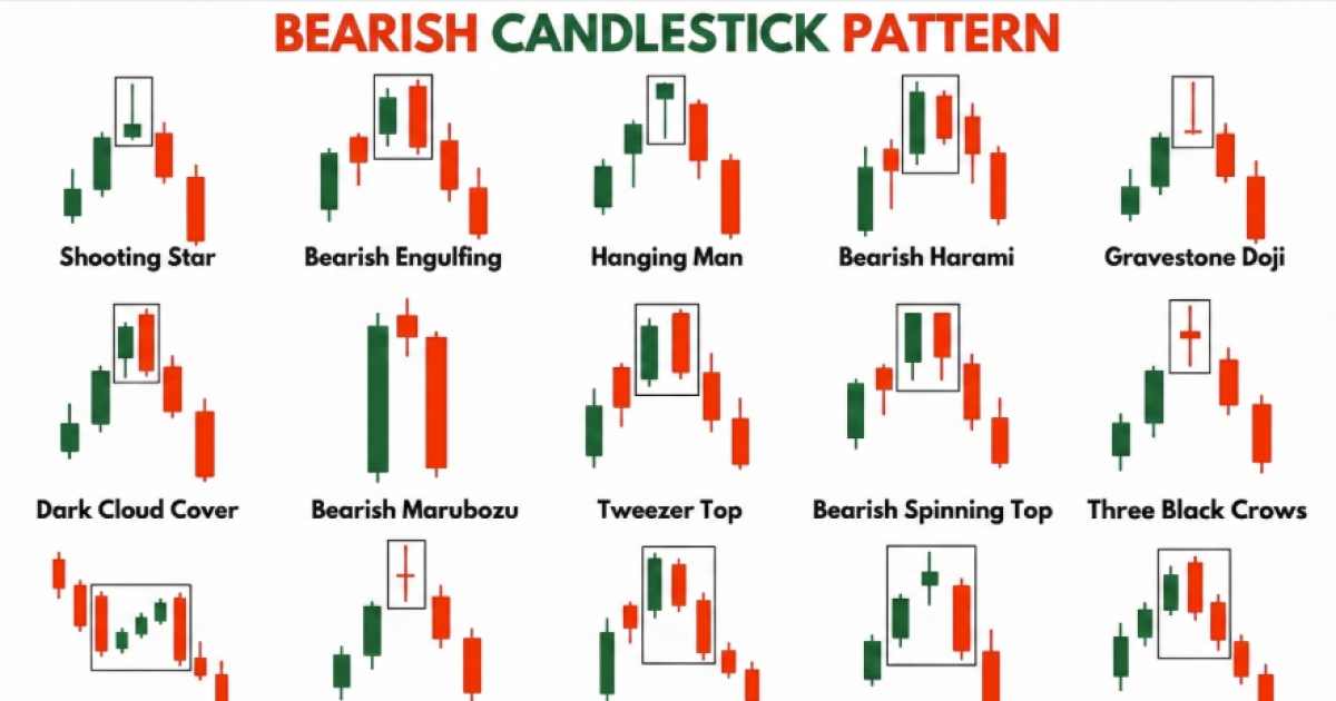 陰陽燭常見利淡形態